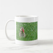 Mug Chipmunk.JPG (Gauche)