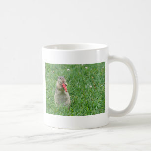 Mug Chipmunk.JPG