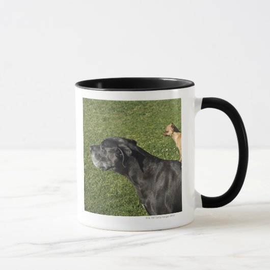 Mug Chiwawa sur le dos 2 de great dane (Droite)
