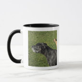 Mug Chiwawa sur le dos 2 de great dane (Gauche)
