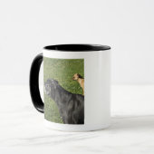 Mug Chiwawa sur le dos 2 de great dane (Devant gauche)