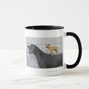 Mug Chiwawa sur le dos de great dane