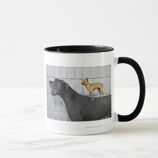 Mug Chiwawa sur le dos de great dane (Droite)