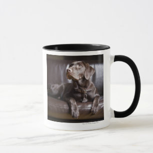 Mug Chocolat labrador retriever