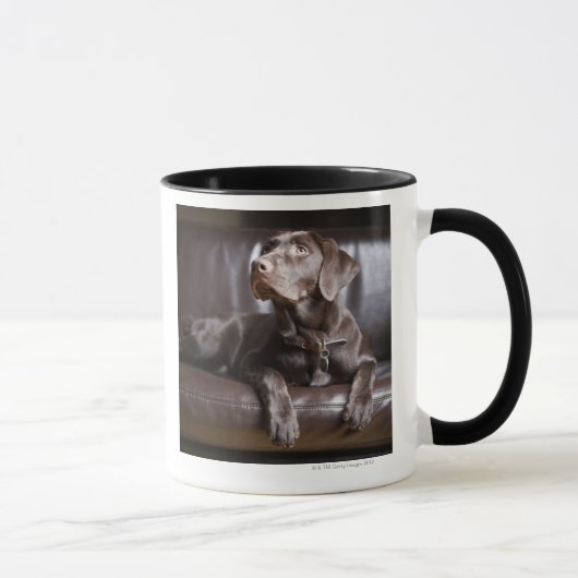 Mug Chocolat labrador retriever (Droite)
