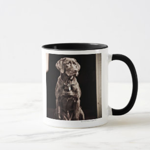 Mug Chocolat labrador retriever