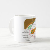 Mug Cholagogue biliaire de diagramme de diagramme de (Devant gauche)