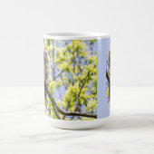 Mug Chouette barrée (Centre)