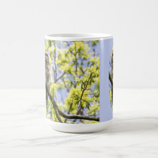 Mug Chouette barrée (Centre)