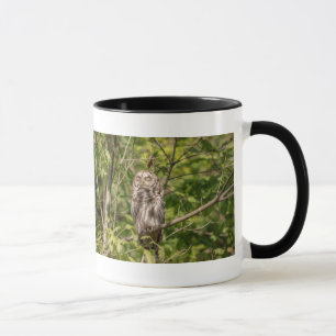 Mug Chouette dorée