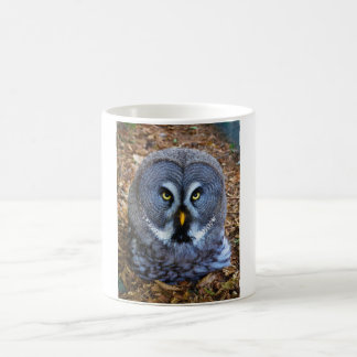Mug Chouette grise Strix Nebulosa Chouette des terres