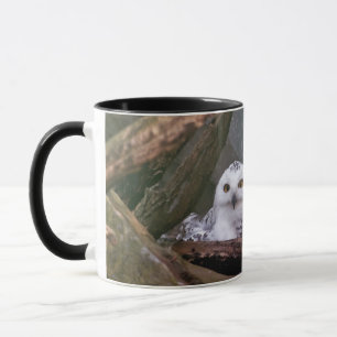Mug Chouette Harfang Couple Art Bois Faune