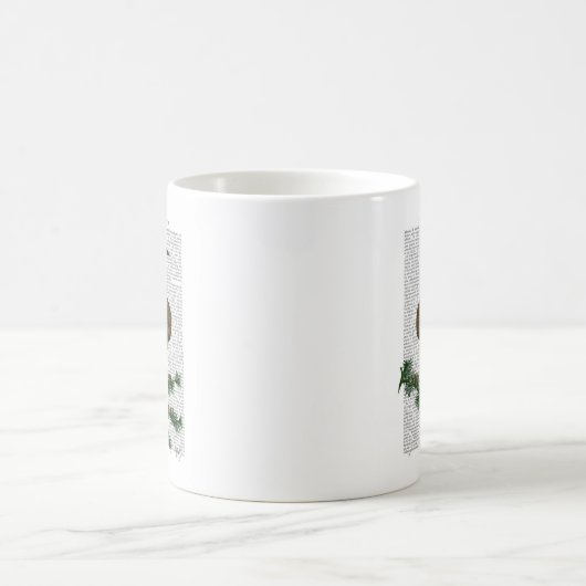 Mug Chouette Lecture Sur Branche (Centre)