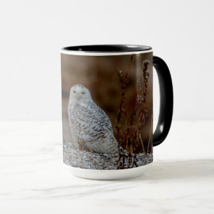 Mug Chouette neige assise sur un rocher