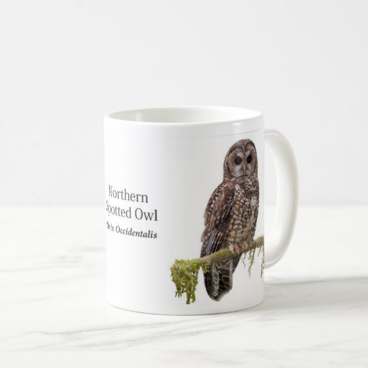 Mug Chouette tachetée (Devant droit)