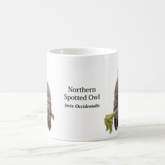 Mug Chouette tachetée (Centre)