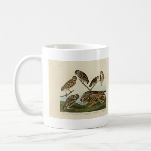 Mug Chouettes brulantes - d'Audubon's Birds of America (Gauche)