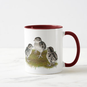 Mug Chukar Partridge Chicks