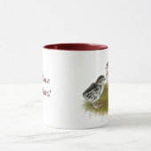 Mug Chukar Partridge Chicks (Centre)