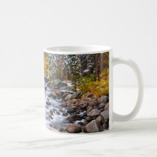 Mug Chute le long du ruisseau Bishop, Californie