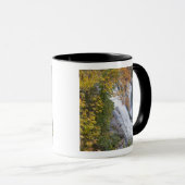 Mug Chutes de la rivière Bald (Devant droit)