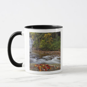 Mug chutes de Looking Glass dans le Pisgah National