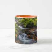 Mug Chutes du ruisseau Starvation | Columbia Gorge, Or (Centre)