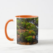 Mug Chutes du ruisseau Starvation | Columbia Gorge, Or (Gauche)
