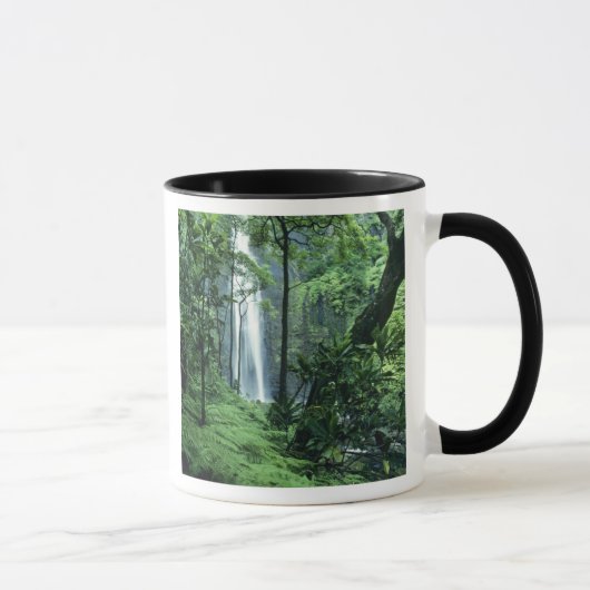 Mug Chutes Hanakapiai le long de la côte Na Pali, Kaua (Droite)