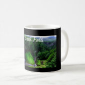 Mug Chutes pittoresque de Salt Creek (Devant droit)