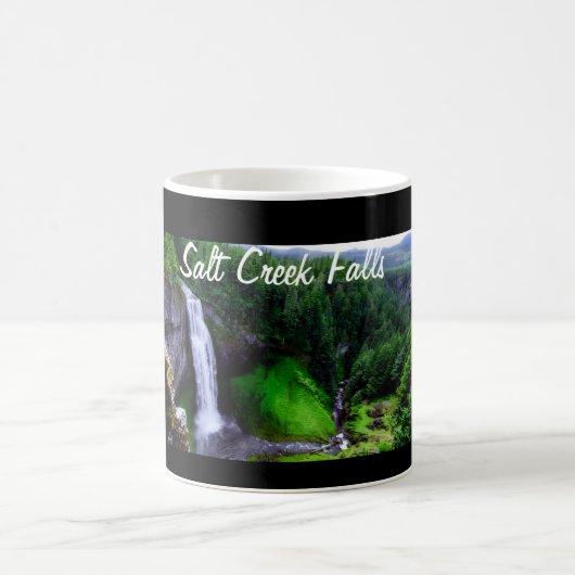Mug Chutes pittoresque de Salt Creek (Centre)