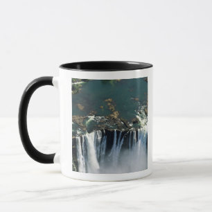 Mug Chutes Victoria, frontière entre la Zambie et le 