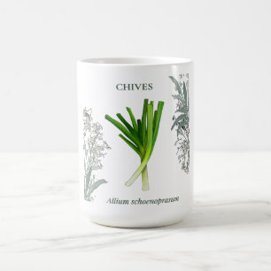 Mug Ciboulette — Allium schoenoprasum