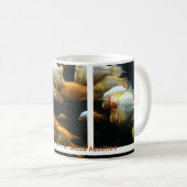 mug Cichlées Diable Rouge (Devant droit)