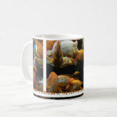 mug Cichlées Diable Rouge (Devant gauche)
