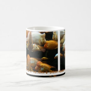 mug Cichlées Diable Rouge
