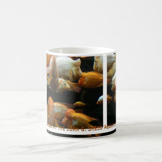 mug Cichlées Diable Rouge (Centre)