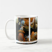 mug Cichlées Diable Rouge (Gauche)