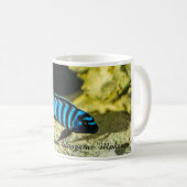 Mug Cichlid d'elongatus de Pseudotropheus (Devant droit)