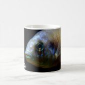 Mug Cichlid rouge de Haplochromis d'impératrice (Centre)