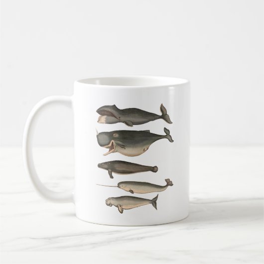 Mug Cinq baleines Vintages (Gauche)