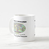 Mug Circulation Thermohaline (retournement méridional) (Devant gauche)