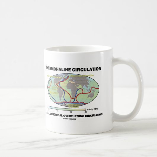 Mug Circulation Thermohaline (retournement méridional) (Droite)
