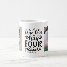 Citation de chien mignon | Amoureux des chiens2 Ph
