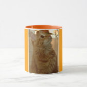 Mug Citten tigré orange (Centre)