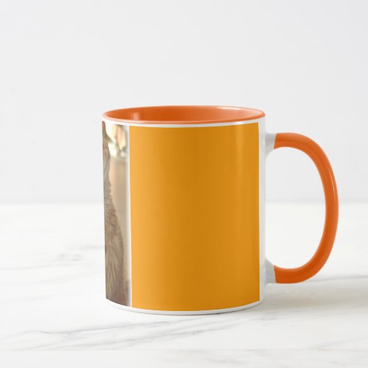 Mug Citten tigré orange (Droite)