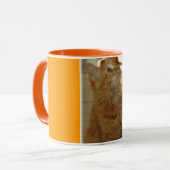 Mug Citten tigré orange (Devant gauche)