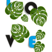 Mug Classic Mug, 11 oz