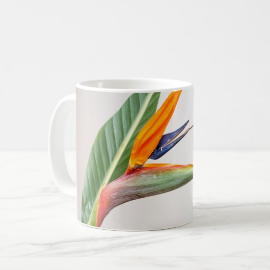 Mug classique (Devant gauche)