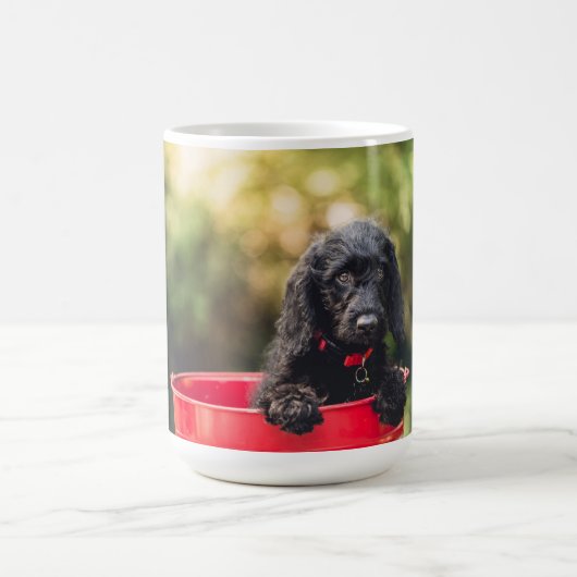 Mug classique (Centre)